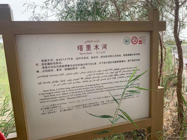 大美新疆（十）羅布人村