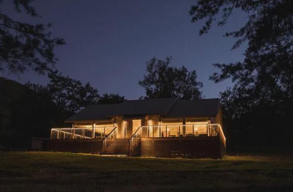 悉尼人必看：新州top 4最適合毛孩子“聚會”的度假勝地，超好玩