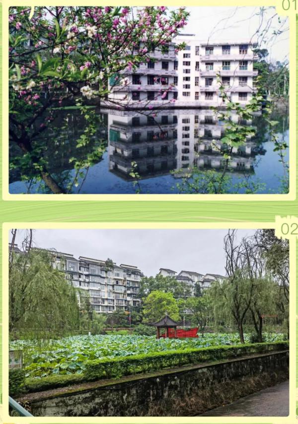 西南交大峨眉校區,難在記憶裡畫一個“X” 西南交大峨眉校區,難在記憶裡畫一個“X”