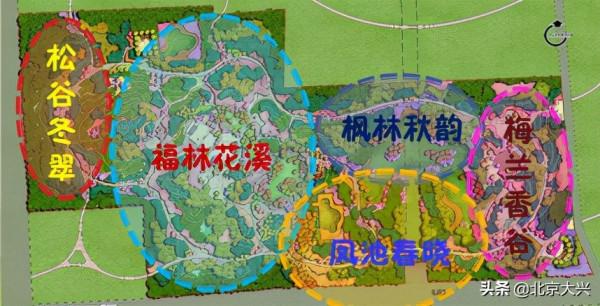 快去看看！大興新晉網紅打卡地，美爆了！