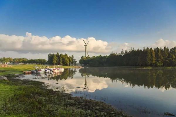 大美臨港丨聽人鯨傳奇、看海天一色、望璀璨星空……這樣的生態寶地，你嚮往嗎？