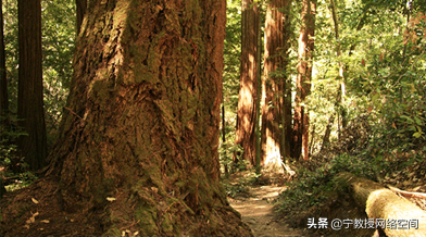 元宇宙科普系列（七）：元宇宙：智慧與賽博使能智慧