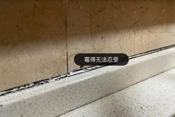 大掃除時,不管有錢沒錢,建議這7件東西囤一些,家務活變輕鬆 大掃除時,不管有錢沒錢,建議這7件東西囤一些,家務活變輕鬆