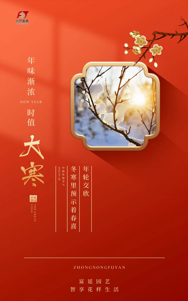 大寒花信 &vert; 寒盡春自來，年味逐日濃