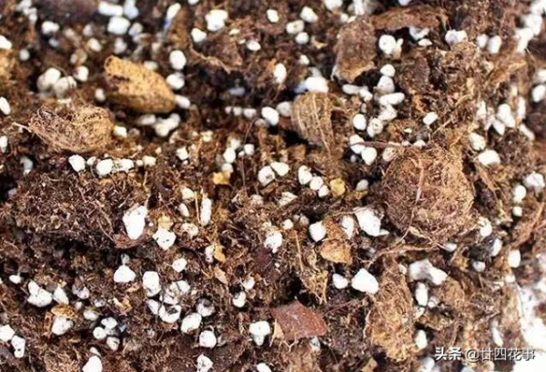 春節3種&OpenCurlyDoubleQuote;廢料&rdquo;，都是養花&OpenCurlyDoubleQuote;寶貝&rdquo;，透氣疏水強，補肥效果好