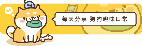 狗狗看了想暗殺主人的照片（閱後即焚）