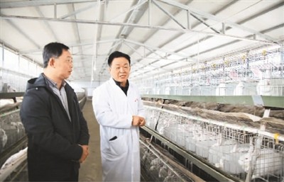 特色產業 助農增收 特色產業 助農增收