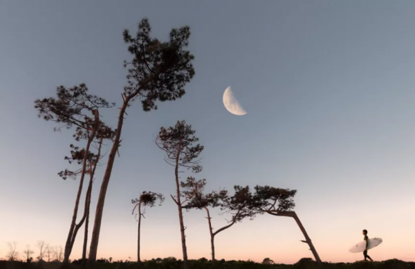 謠言殺人,讒言害人,惡語傷人 謠言殺人,讒言害人,惡語傷人