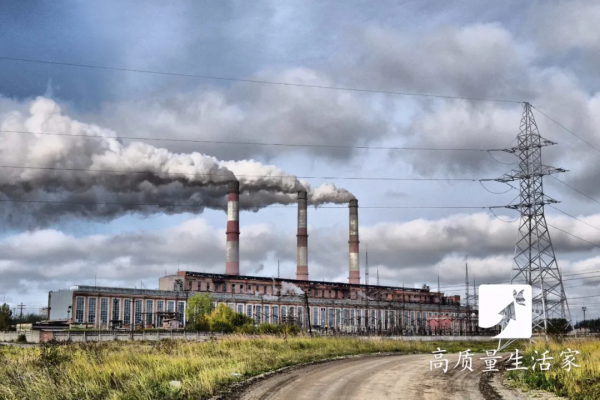 大蒜、西蘭花、蘋果，這些“抗癌食物”真的有效嗎？科學證據來說話！癌症不上門，得這樣養~