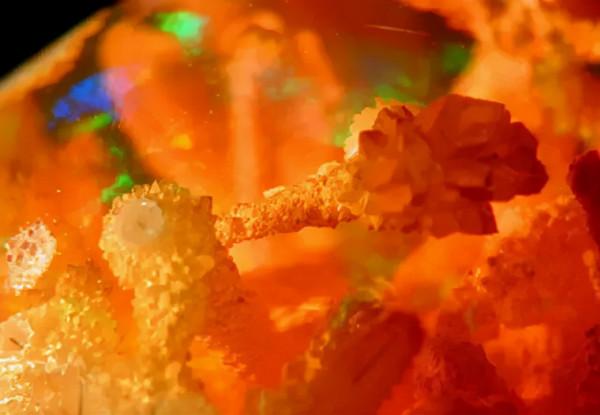 寶知道｜寶石原來也有“指紋”