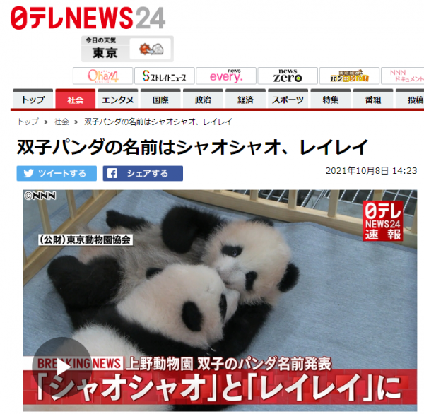 在日本上野動物園誕生大熊貓雙胞胎名字確定：“曉曉”和“蕾蕾”