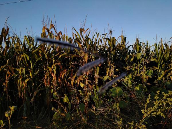 步行下班(八) 步行下班(八)