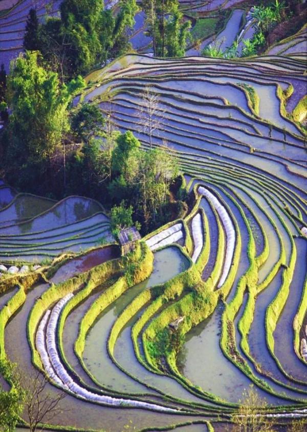 分享圖片——雲南風景如畫，美麗動人