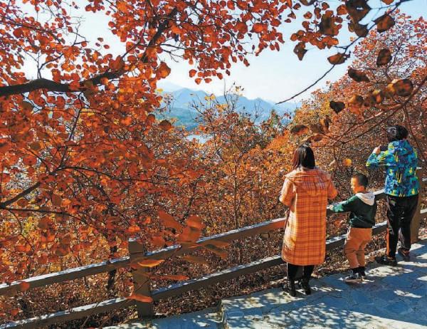 千園之城 層林盡染