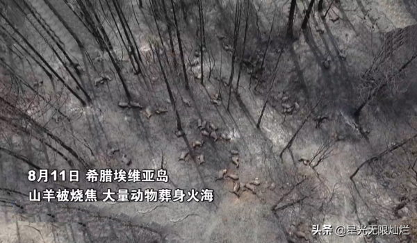 2021年，全球極端天氣頻發，盤點這一年的極端天氣帶來的重重災難