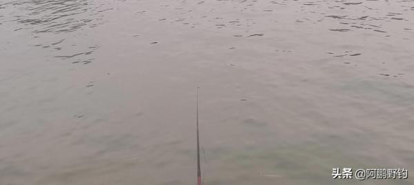 悶杆釣法經驗與分享 、垂釣過程該注意哪些細節！簡單易懂