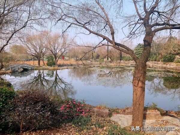 永泉農莊——銅陵的世外桃源