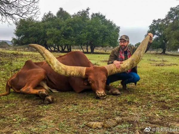 動物界的冷知識