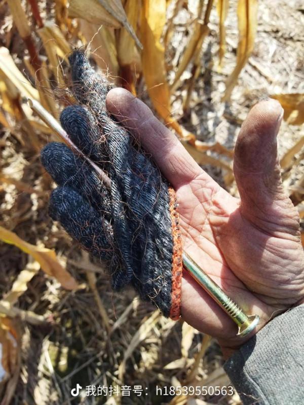 玉米地被淹，我″撿了&quot;一臺洗衣機