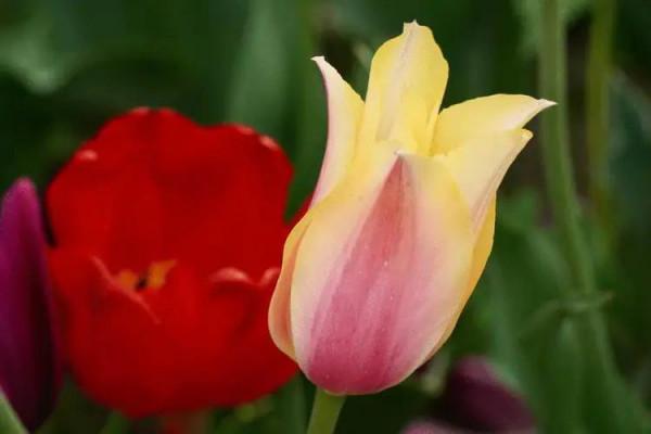 「隨筆」永遠的祝福