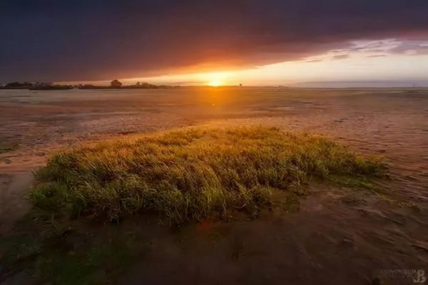 震驚:能在真空和太陽輻射下生存,這真的是地球生物嗎? 震驚:能在真空和太陽輻射下生存,這真的是地球生物嗎?