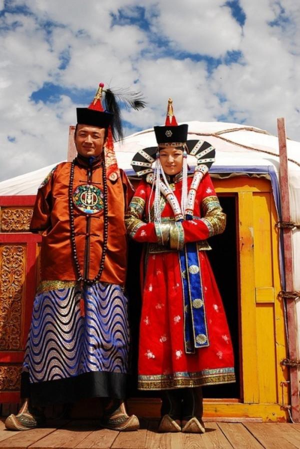 蒙古草原最聰明野狼，每天跟隨牧民放羊，想當羊老闆，餐餐有肉吃