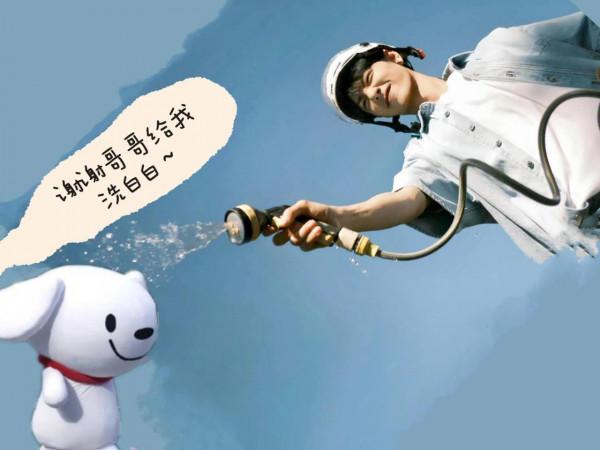 今天被一條狗狗治癒了不開心