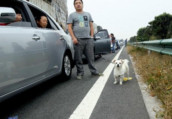 國慶返程堵在高速上,讓我看清了自己的缺點,看風景的心態很重要 國慶返程堵在高速上,讓我看清了自己的缺點,看風景的心態很重要