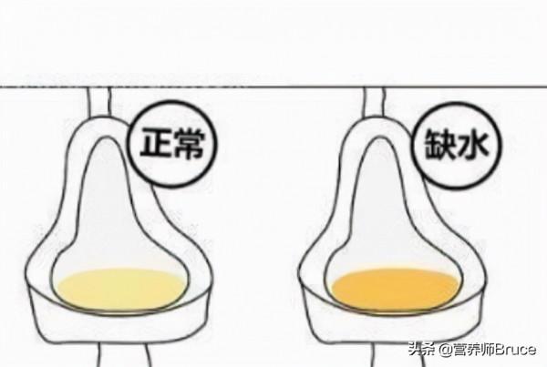 最近尿有點黃，可能是上火了——事實真的如此嗎？