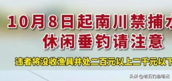 看重慶禁魚區新管理制度，釣魚人迎來春天，值得全國推廣