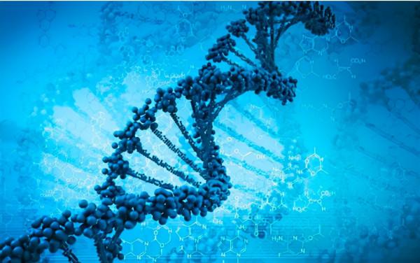 要復活長毛象?現已有明確的研究計劃 要復活長毛象?現已有明確的研究計劃