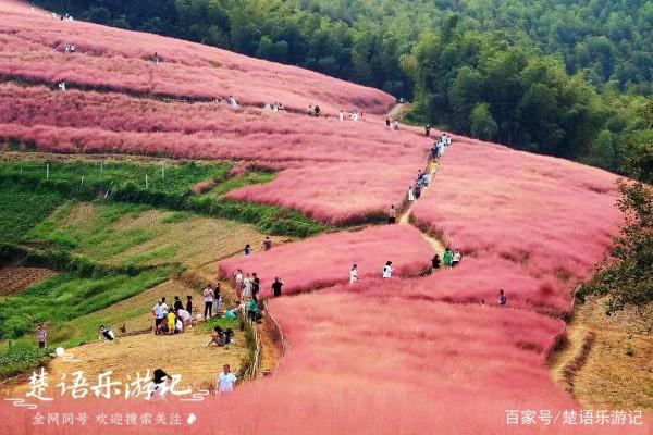 網紅景點飯桶山暫停開放，在寧波還能去哪裡玩？這幾個地方也很燃