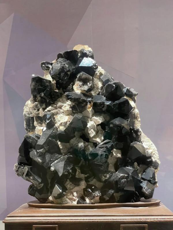 今天,邀請你一起去湖南省地質博物館,看萬物征途 今天,邀請你一起去湖南省地質博物館,看萬物征途