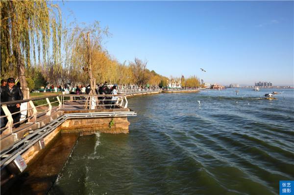 世界春城80佳排行榜：昆明穩居第一，為何中國還有這7座城市入圍