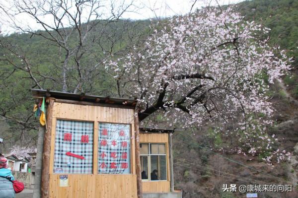 這條徒步線路太美了，這線路適合想去而沒有去過高原的人