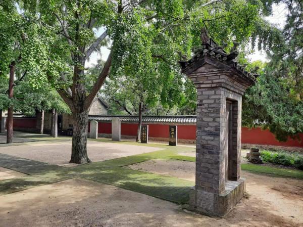 一個沒有文化的南方人對山東的初步印象 一個沒有文化的南方人對山東的初步印象