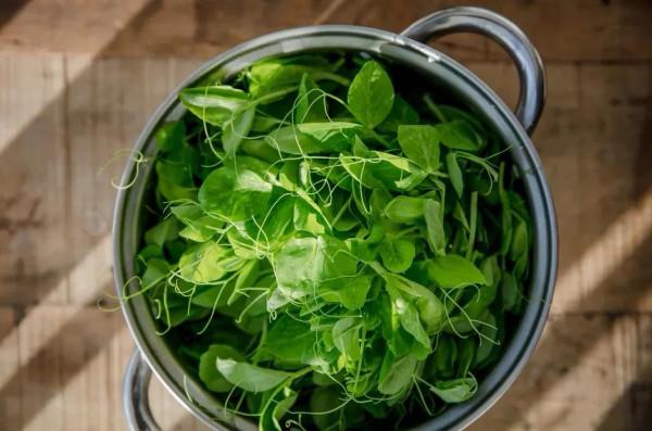 吃萵筍尖不如吃它,現在剛上市,買來鍋裡燙30秒鐘就出鍋,非常鮮 吃萵筍尖不如吃它,現在剛上市,買來鍋裡燙30秒鐘就出鍋,非常鮮