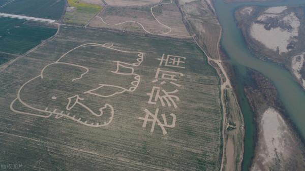 為什麼說老家河南？看看這些源自河南的姓氏，有沒有你的？