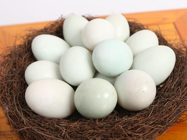 買鴨蛋時,選“白殼”還是“青殼”,差別很大,建議弄明白了再買 買鴨蛋時,選“白殼”還是“青殼”,差別很大,建議弄明白了再買