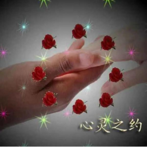 十二生肖對應的幸運花