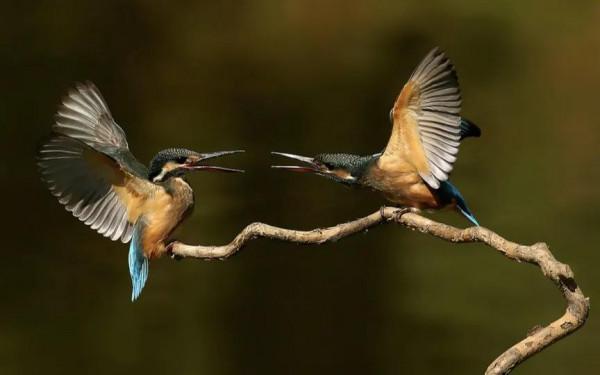 短篇小說‖較量 短篇小說‖較量