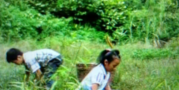 &quot&semi;玻璃女王&quot&semi;周群飛：一婚嫁老闆，二婚嫁自家司機，二十年賺500億