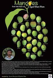 印度農民種出神奇芒果,看著像蘋果吃著像香蕉…還有孜然口味? 印度農民種出神奇芒果,看著像蘋果吃著像香蕉…還有孜然口味?