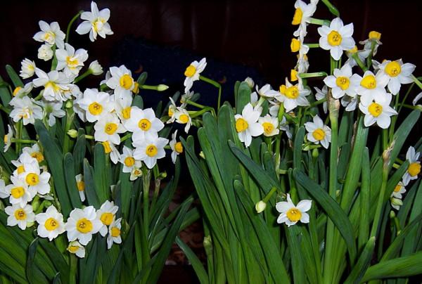 行攝京華大地——最美北京，在冬天