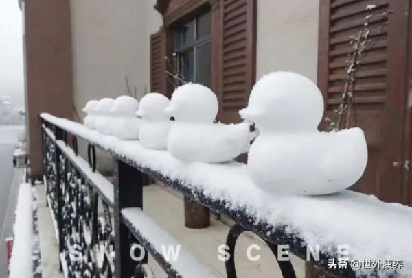 世外康養基地丨南方沒有雪？海子山、天鵝堡的冬天你值得擁有