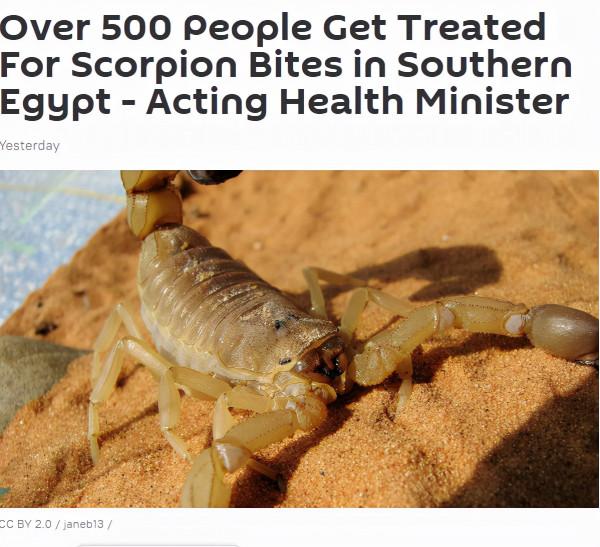 暴雨過後這種劇毒生物傾巢出動!埃及已有超過500人被蜇傷 暴雨過後這種劇毒生物傾巢出動!埃及已有超過500人被蜇傷