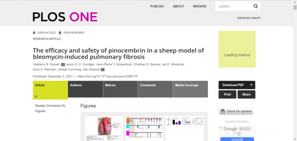 「PLOS One」無需肺移植！一種黃酮類化合物可有效治療肺纖維化