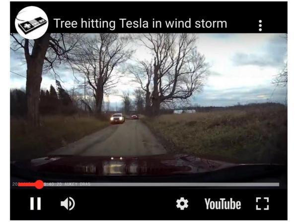 贊！加拿大男子開特斯拉參加婚禮被樹砸，新婚夫婦奇蹟般沒受傷