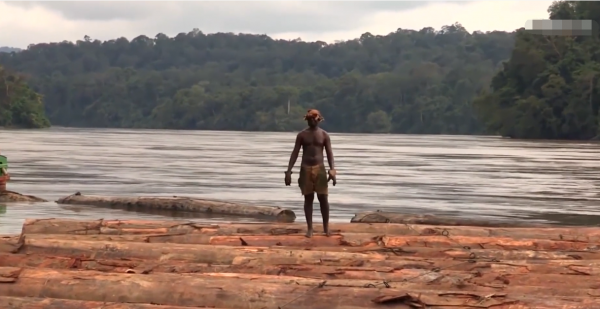 非洲小哥開賓士卡車運紅木,一車50噸一根賣幾十萬,路上全是車禍 非洲小哥開賓士卡車運紅木,一車50噸一根賣幾十萬,路上全是車禍