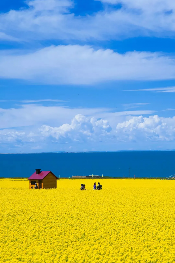 2022年，我在青海，等你！